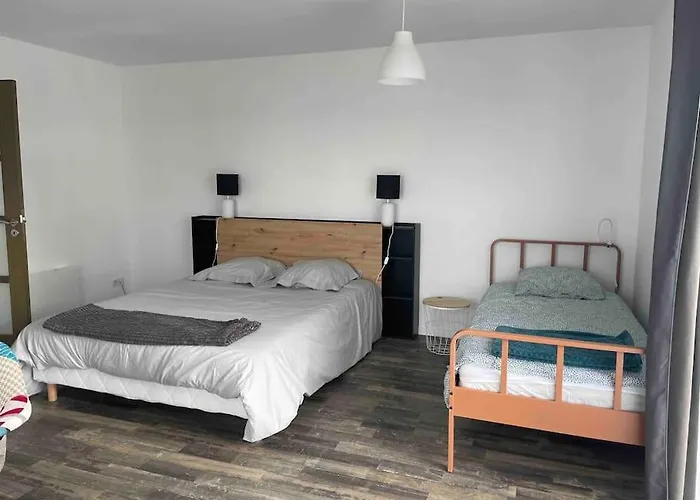 Spacieux 290m2, Ext, Billard Et Babyfoot. *