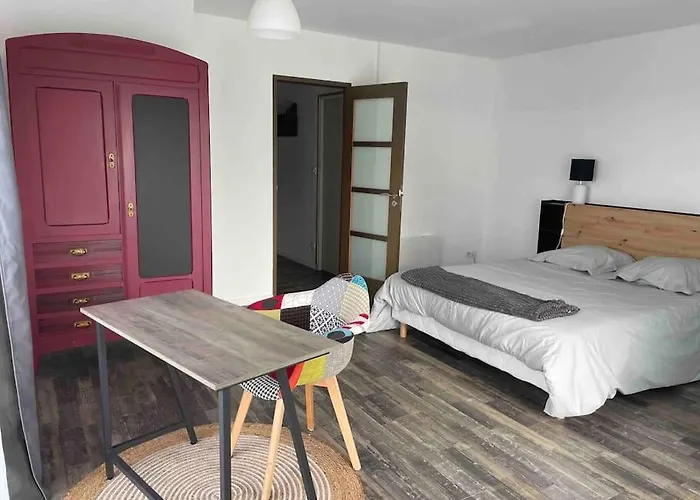 Spacieux 290m2, Ext, Billard Et Babyfoot. Les Clouzeaux